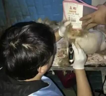 摩托车珠海一摩托车在马路上拖行犬只 驾驶者接受公安机关调查