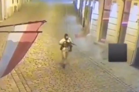|奥地利恐袭案背后：每3人就有1把枪 欧洲控枪最宽松
