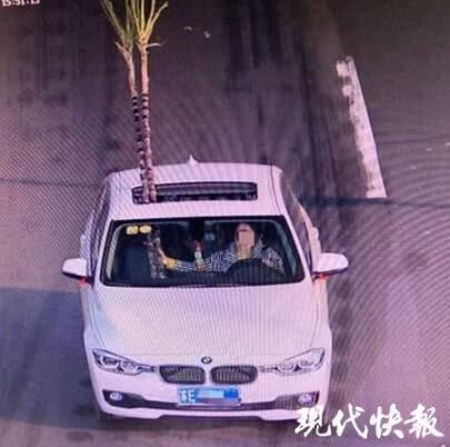 寶馬車頂長出兩根竹子 女司機一路神操作