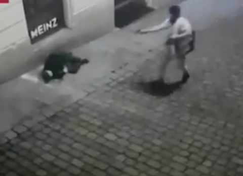 |奥地利恐袭案背后：每3人就有1把枪 欧洲控枪最宽松