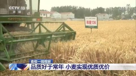 小麦农业农村部：我国麦收进度近六成 品质好于常年