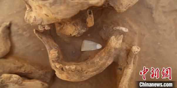 墓主口部玉器。陕西省考古研究院供图 　摄