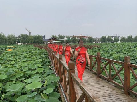如皋江苏如皋市平园池村：荷花鼓了荷包，香囊留住乡愁