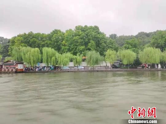 官方晒图辟谣。 杭州市西湖水域管理处供图 摄 官方晒图辟谣。 杭州市西湖水域管理处供图 摄