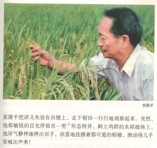 语文@创造价值统编新教材不同学科中的劳动教育