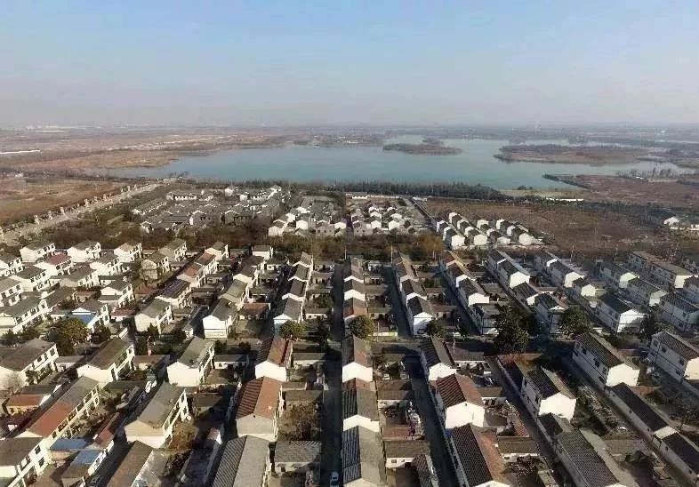 |一枝一叶总关情丨马庄的小康生活