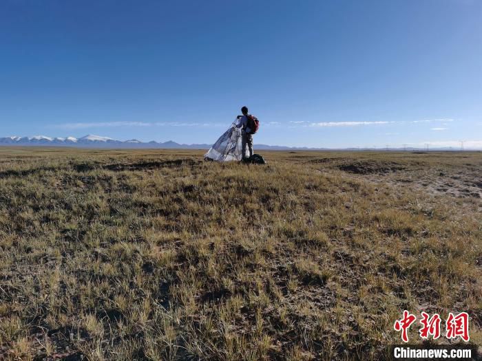 |青海可可西里“失联事件”难禁绝 管理者呼吁：可可西里非生命天堂