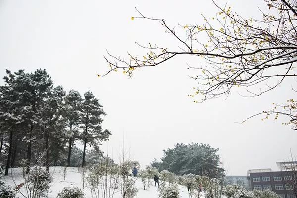 信阳学院2020年诚聘海内外优秀人才公告