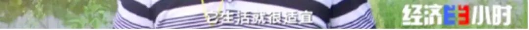 三农|一片汪洋！断电断路！不到2天，他们紧急建起364米浮桥！