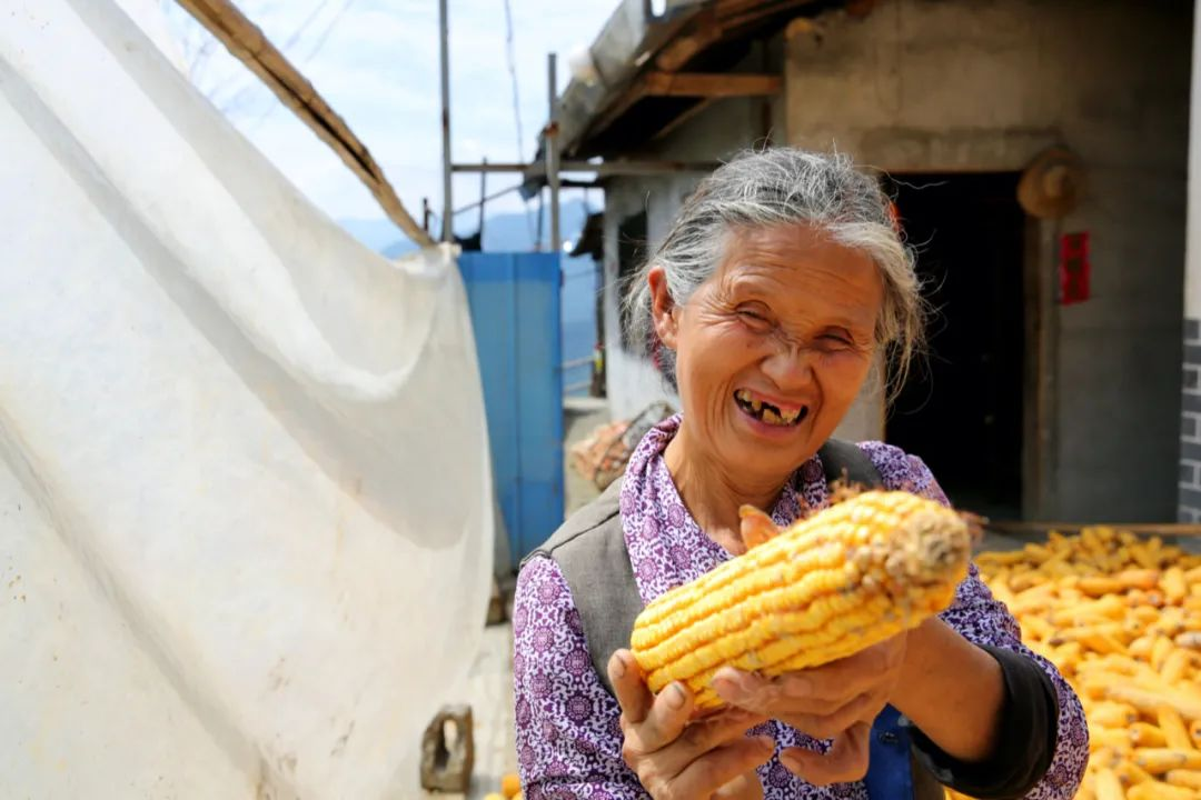 五大发展理念|这五年，五大发展理念这样改变我们的生活