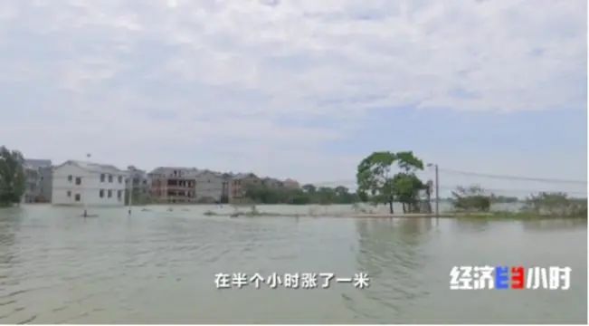 三农|一片汪洋！断电断路！不到2天，他们紧急建起364米浮桥！