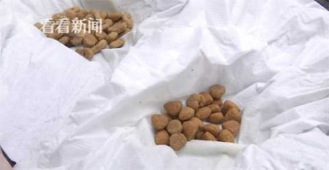 |小区多只猫狗接连死亡 业主怀疑有人恶意投毒