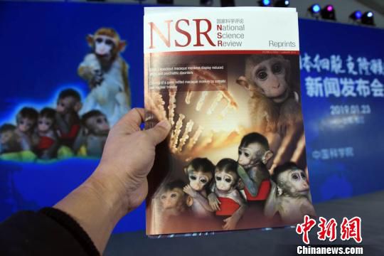 新闻发布会上，中国顶级综合英文期刊《国家科学评论》提前印刷的世界首例生物节律紊乱体细胞克隆猴模型成果专刊。　孙自法 摄