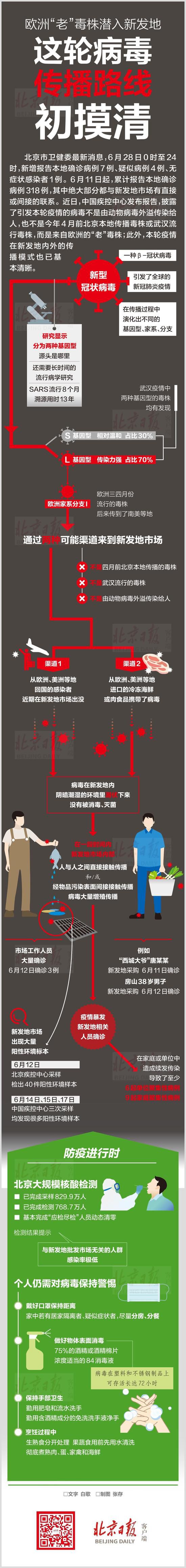 一图读懂 欧洲“老”毒株潜入新发地，传播路线初摸清