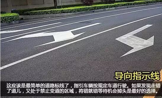 車道內的白黃虛實線你知道是什麼意思嗎