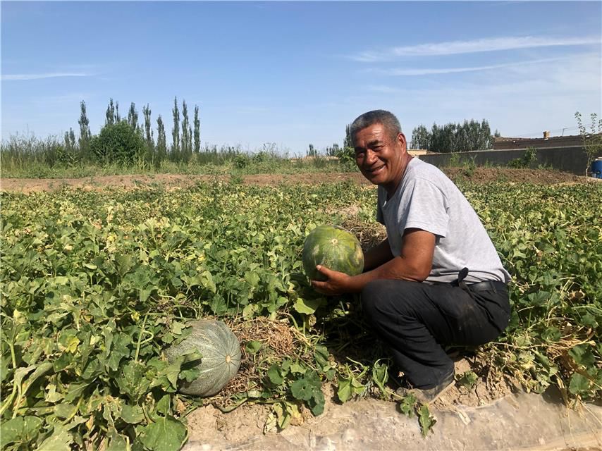 胡杨林|新疆轮台县生态搬迁：塔河沿岸绿了 新居村民富了