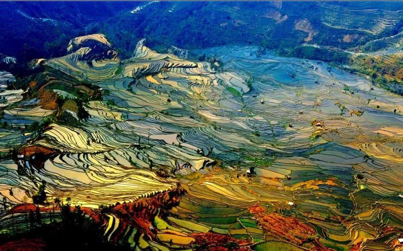 旅游产业|云南发布旅游消费提示：跟团价低于195元/天就要小心