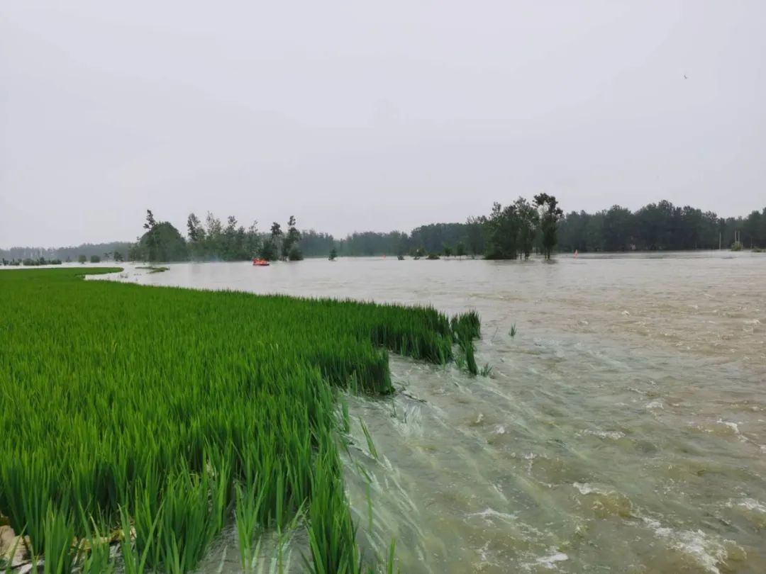 潢川县闻汛而动全力抗洪