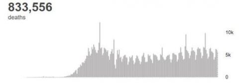 传染病|印度解封匈牙利收紧 全球新冠确诊病例超2458万