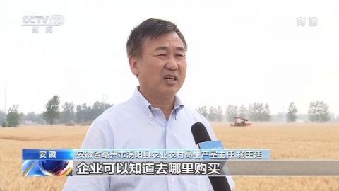 小麦农业农村部：我国麦收进度近六成 品质好于常年