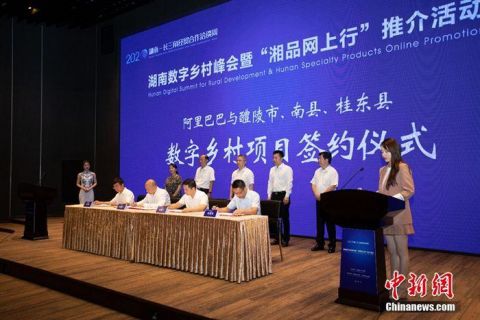 农民|部分农村将率先进入数字时代 近半农民通过阿里“数字化生活”