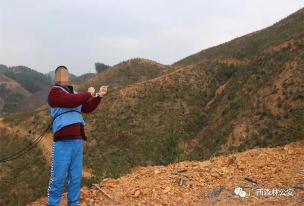 广西村民因担心饮水安全拔除水库旁桉树 26人