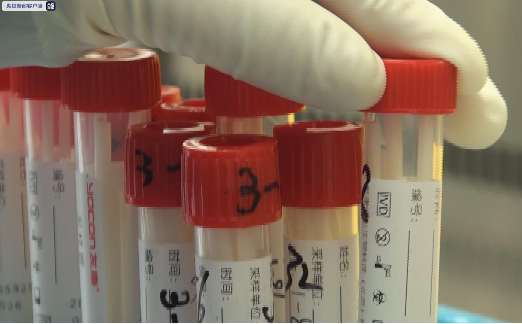 传染病北京：日最大核酸检测量达45.8万份 日最高检测108.4万人