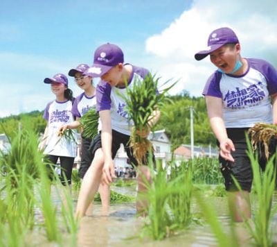 梁杰|茅坡村的变化为什么这么大（深度关注·党建引领基层治理④）