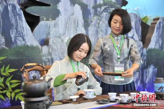 5月18日，两名茶艺师正在展示“功夫泡茶”。当天，首届中国国际茶叶博览会在浙江杭州国际博览中心拉开帷幕。此次展会吸引了48个国家和地区的参展商、20个茶叶主产省份的茶企代表以及1700余家国内外专业客商报名参展。<a target='_blank' href='http://www.chinanews.com/'>中新社</a>记者 张茵 摄