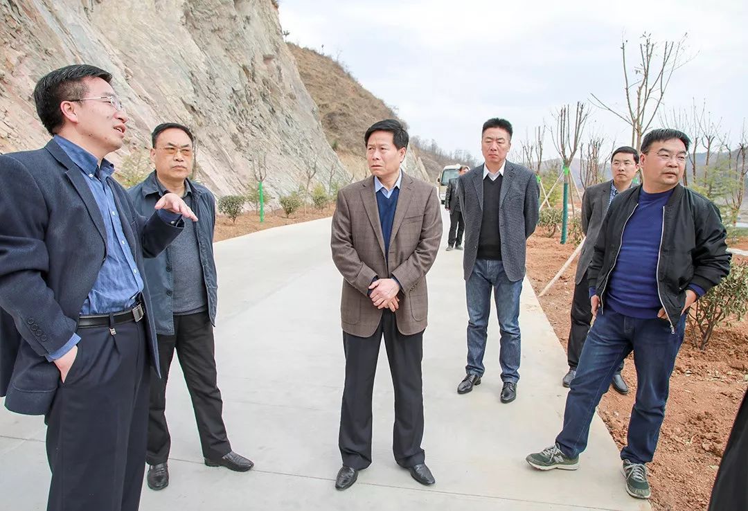 市交通运输局领导到卢氏县调研指导农村公路工作