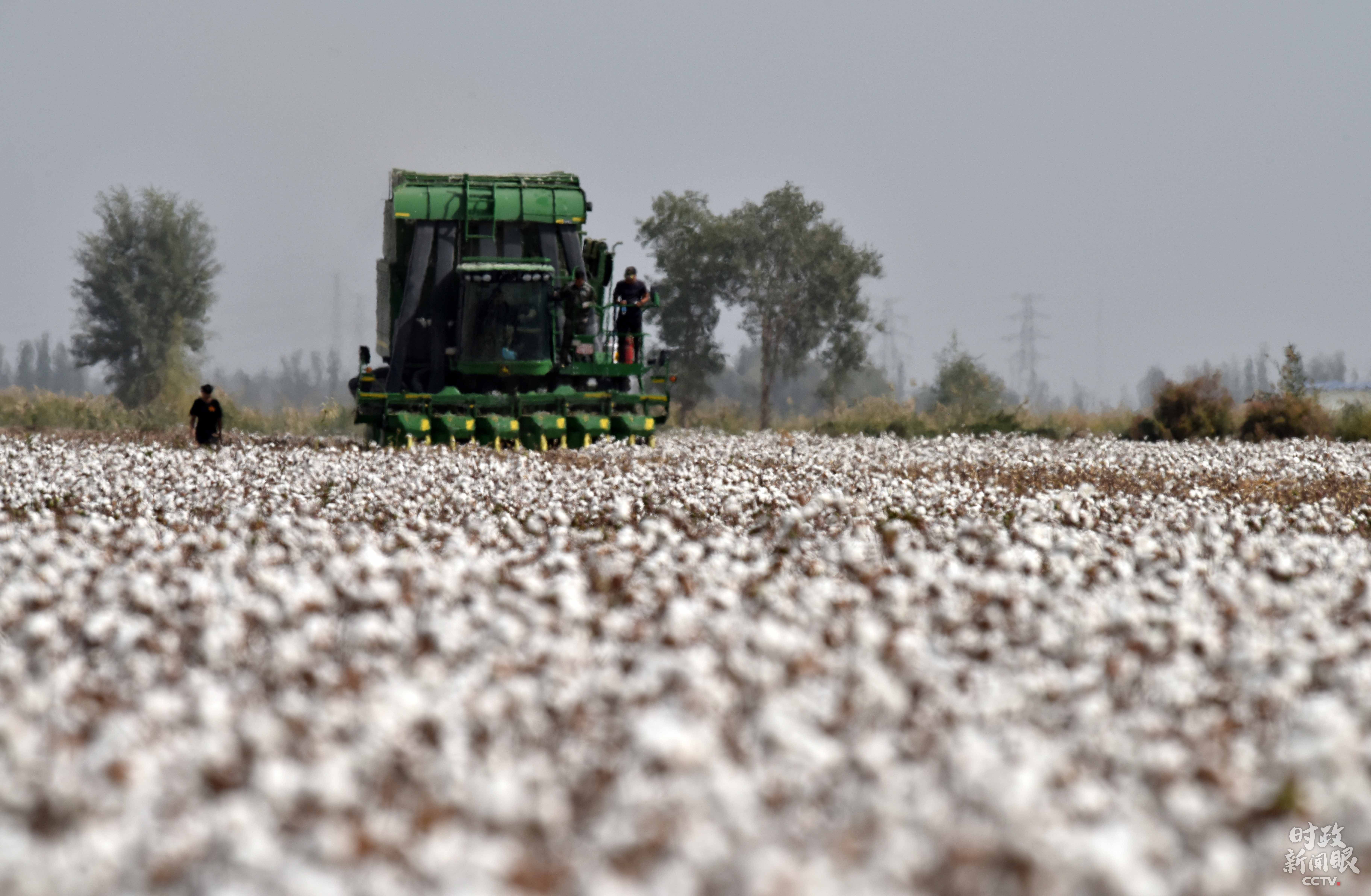 第二次中央新疆工作座谈会|时政新闻眼丨第三次新疆座谈会，习近平这样阐释新时代党的治疆方略