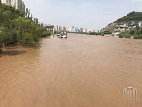 黄河|黄河水位连续三天居高不下，防汛形势仍然严峻