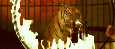 牡丹文化节开幕式,千亩牡丹花海,千亩芍药游园会,网红牡丹仙子现场