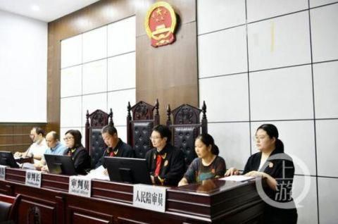 陆龟|9000多元买来9只陆龟饲养 检察机关把他告上法庭