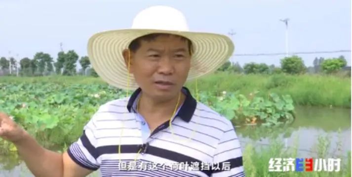 三农|一片汪洋！断电断路！不到2天，他们紧急建起364米浮桥！