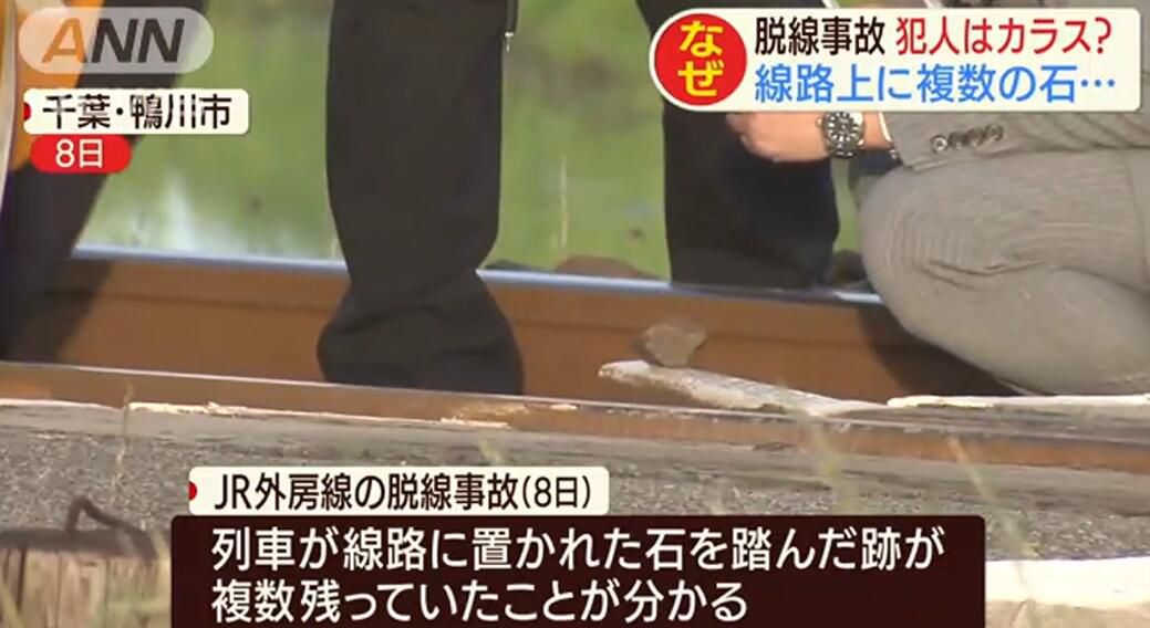 国际社会在铁轨放石块引发列车脱轨 日本小学生承认犯案：在做实验