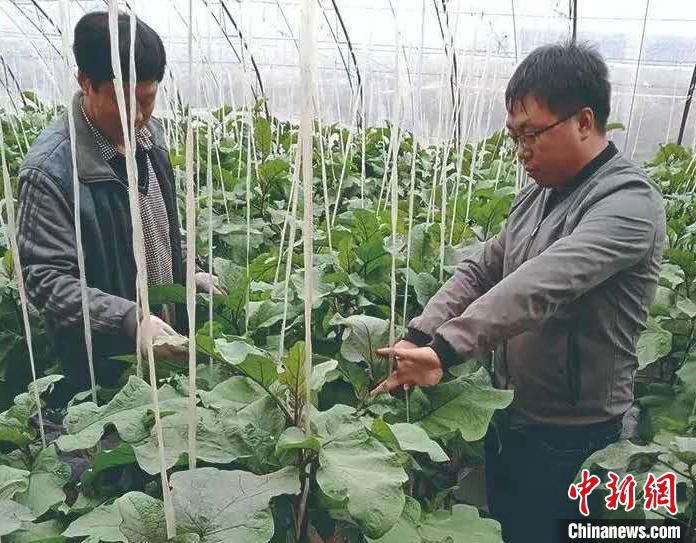 三农|“80后”小伙主动到村任职 做村民贴心人带“穷乱”村变身