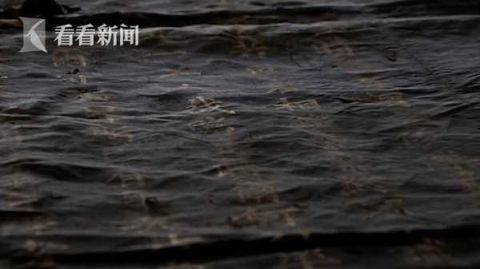 文化|百年诏书碎成＂渣＂ 修复手艺人历时3月将它＂复活＂