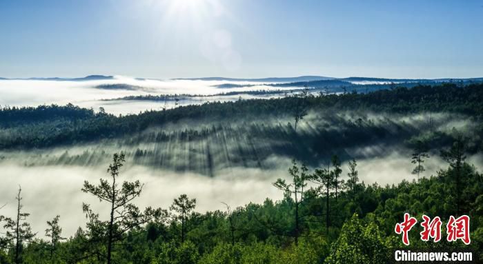 时政2020进入下半场，一批新规将影响你的生活