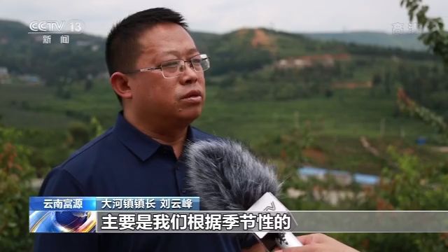 农业云南矿采荒山披新绿 生态修复富农家