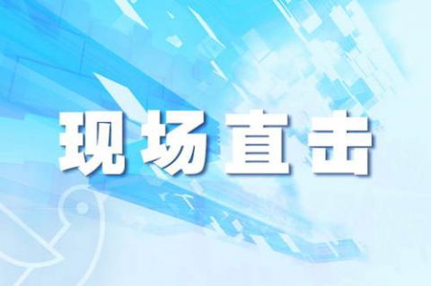 国际社会索马里7名医务人员及1位平民被绑架并杀害