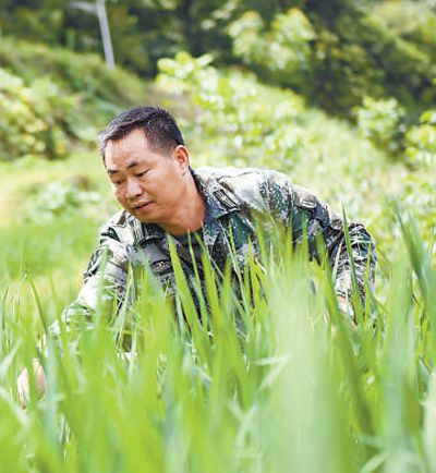 三农|回家，带着乡亲富起来