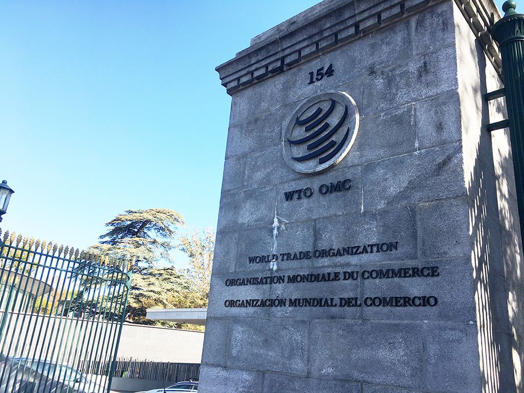 国际社会|世贸组织新总干事遴选程序出炉 将加速选拔