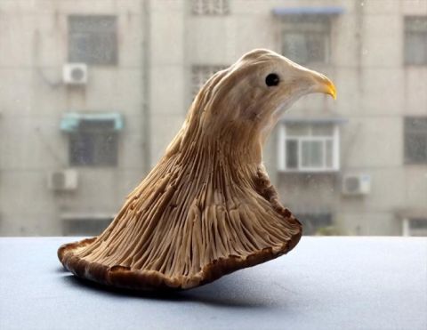 蔬菜|丝瓜熊猫、菜叶鸵鸟……河南这位买菜大爷用蔬菜创造了“动物世界”