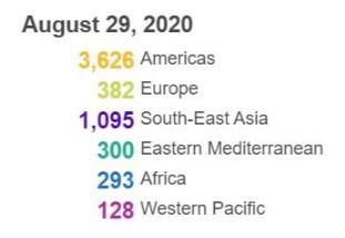 传染病|印度解封匈牙利收紧 全球新冠确诊病例超2458万