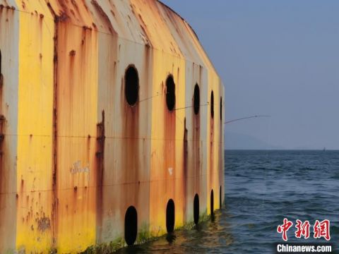 |海事部门、公安机关联动执法 重拳打击非法垂钓