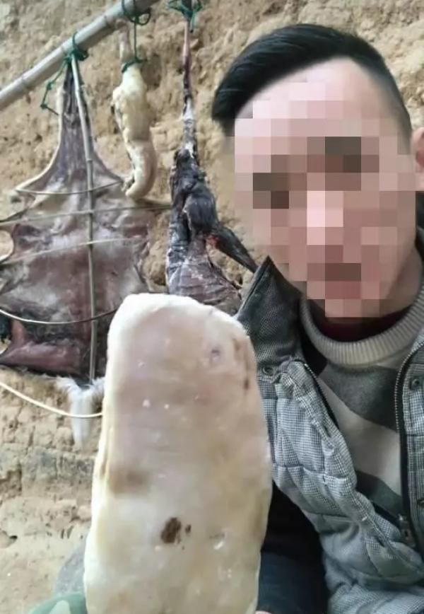 快手平台一江西主播为吸粉直播猎杀野生动物