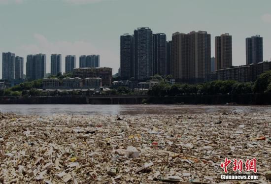 资料图：长江重庆段江面上的大量垃圾。 周毅 摄