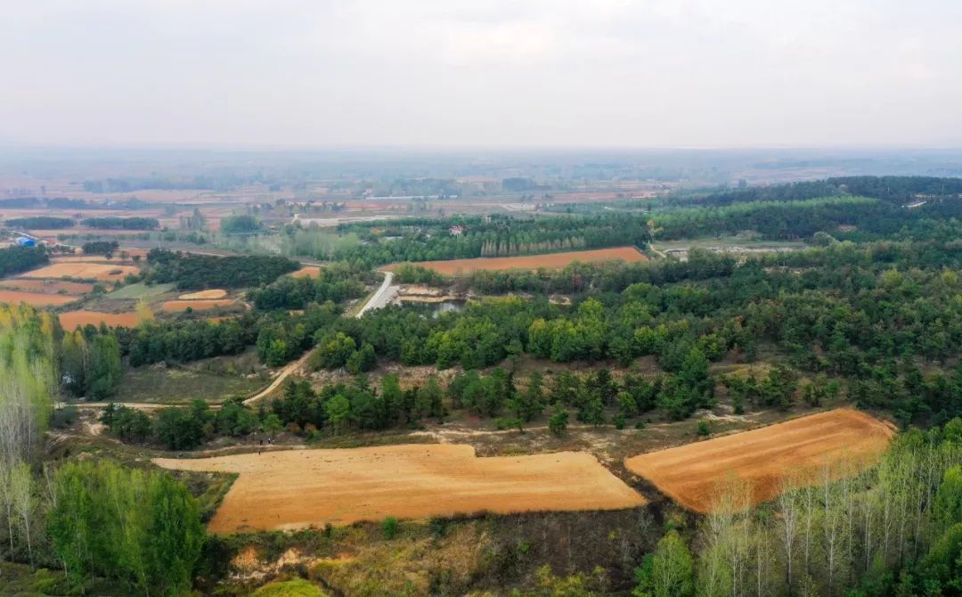 春水镇版图现美丽图画还有唱大戏场面