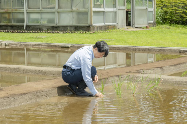 日本皇宫日本一男子游过护城河私闯皇宫 事发时天皇正在插秧